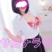 ヒメ日記 2024/12/24 04:20 投稿 天崎　いちか NADIA東京新橋店