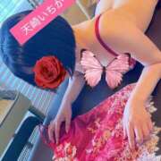ヒメ日記 2026/05/20 15:21 投稿 天崎　いちか NADIA東京新橋店