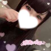 ヒメ日記 2025/04/15 08:23 投稿 わかば♪ プリティーガール