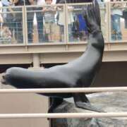 ヒメ日記 2025/09/23 20:57 投稿 あすか 八王子デリ倶楽部