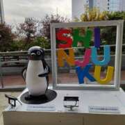 ヒメ日記 2025/11/24 20:56 投稿 あすか 八王子デリ倶楽部