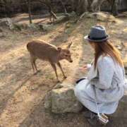 みずき 年末年始 大垣羽島安八ちゃんこ