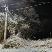 ヒメ日記 2025/02/21 11:41 投稿 まな Body Special(ボディスペシャル)