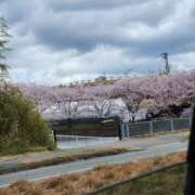 ヒメ日記 2025/04/03 15:29 投稿 まな Body Special(ボディスペシャル)