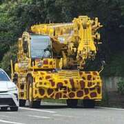 ヒメ日記 2025/06/27 13:04 投稿 まな Body Special(ボディスペシャル)