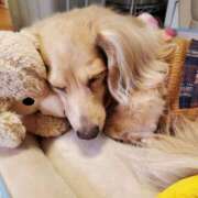 ヒメ日記 2025/10/24 03:55 投稿 まな Body Special(ボディスペシャル)