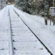 ヒメ日記 2026/01/22 11:24 投稿 まな Body Specia1～ボディスペシャル～