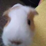 ヒメ日記 2025/04/05 09:18 投稿 下（しも） 西川口デッドボール