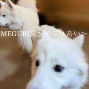 ヒメ日記 2026/02/23 10:15 投稿 MEGURI愛〜めぐりあい〜 グッドスマイル