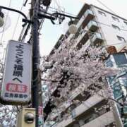 ヒメ日記 2026/04/01 14:50 投稿 MEGURI愛〜めぐりあい〜 グッドスマイル