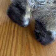 ヒメ日記 2025/04/29 16:17 投稿 めぐみ 佐久上田人妻隊