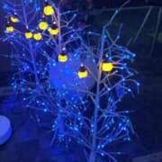 ヒメ日記 2025/09/07 07:37 投稿 めぐみ 佐久上田人妻隊