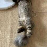 ヒメ日記 2025/09/28 08:36 投稿 めぐみ 佐久上田人妻隊