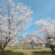 ヒメ日記 2026/04/03 11:09 投稿 めぐみ 佐久上田人妻隊