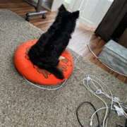 ヒメ日記 2025/06/25 15:34 投稿 りぉん YDHやまぐちデリバリーヘルス（山口、新山口、防府、宇部）