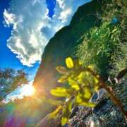 ヒメ日記 2025/06/27 14:44 投稿 りぉん YDHやまぐちデリバリーヘルス（山口、新山口、防府、宇部）