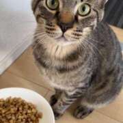 ヒメ日記 2025/06/28 08:32 投稿 りぉん YDHやまぐちデリバリーヘルス（山口、新山口、防府、宇部）