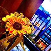 ヒメ日記 2025/06/28 17:34 投稿 りぉん YDHやまぐちデリバリーヘルス（山口、新山口、防府、宇部）