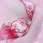 ヒメ日記 2025/11/14 11:22 投稿 美澄（みすみ） 人妻最後の砦 西船橋店