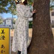 ヒメ日記 2026/01/27 12:33 投稿 美澄（みすみ） 人妻最後の砦 西船橋店