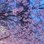 ヒメ日記 2025/04/02 11:50 投稿 みか THE ESUTE 五反田店