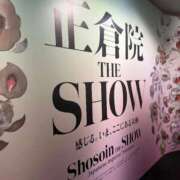 ヒメ日記 2025/11/10 00:53 投稿 花沙音(かさね) ニューグランド