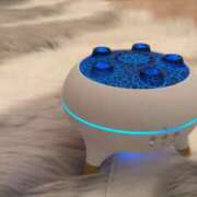 ヒメ日記 2025/12/31 01:13 投稿 花沙音(かさね) ニューグランド