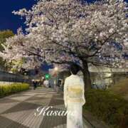 ヒメ日記 2026/04/08 01:53 投稿 花沙音(かさね) ニューグランド