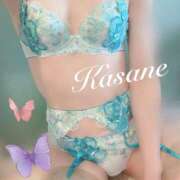 ヒメ日記 2026/04/23 00:43 投稿 花沙音(かさね) ニューグランド