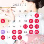 ヒメ日記 2026/08/13 11:53 投稿 花沙音(かさね) ニューグランド