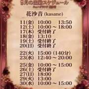 ヒメ日記 2026/09/07 14:13 投稿 花沙音(かさね) ニューグランド