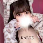 ヒメ日記 2025/12/22 13:45 投稿 かえで INFINITY GOLD～インフィニティゴールド～