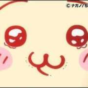 ヒメ日記 2025/03/04 18:35 投稿 ゆま 熟女家 東大阪店（布施・長田）