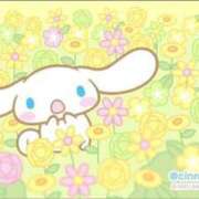 ヒメ日記 2025/05/11 00:05 投稿 ゆま 熟女家 東大阪店（布施・長田）