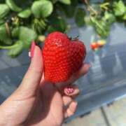 ヒメ日記 2025/04/16 21:15 投稿 しずく マリン千葉店