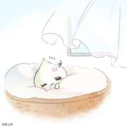 ヒメ日記 2025/05/27 05:22 投稿 しずく マリン千葉店