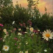 ヒメ日記 2024/12/15 09:25 投稿 りん プールサイド新橋店