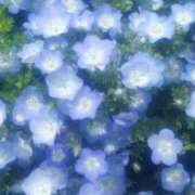 ヒメ日記 2024/12/15 20:00 投稿 りん プールサイド新橋店