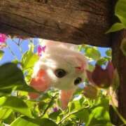 ヒメ日記 2025/01/03 20:11 投稿 りん プールサイド新橋店