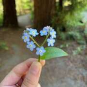 ヒメ日記 2025/01/06 11:06 投稿 りん プールサイド新橋店