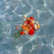 ヒメ日記 2025/01/26 09:29 投稿 りん プールサイド新橋店