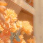 ヒメ日記 2025/01/26 11:10 投稿 りん プールサイド新橋店