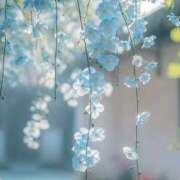 ヒメ日記 2025/01/31 12:28 投稿 りん プールサイド新橋店