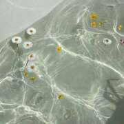 ヒメ日記 2025/02/05 09:32 投稿 りん プールサイド新橋店