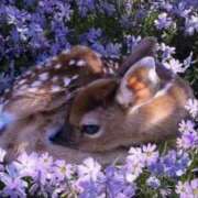 ヒメ日記 2025/02/20 20:10 投稿 りん プールサイド新橋店