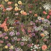 ヒメ日記 2025/03/10 20:03 投稿 りん プールサイド新橋店