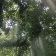 ヒメ日記 2025/03/21 11:01 投稿 りん プールサイド新橋店