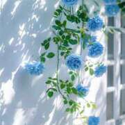 ヒメ日記 2025/03/29 11:08 投稿 りん プールサイド新橋店