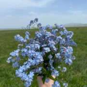 ヒメ日記 2025/03/30 09:41 投稿 りん プールサイド新橋店