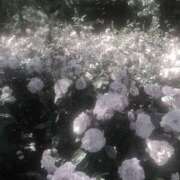 ヒメ日記 2025/04/04 20:00 投稿 りん プールサイド新橋店